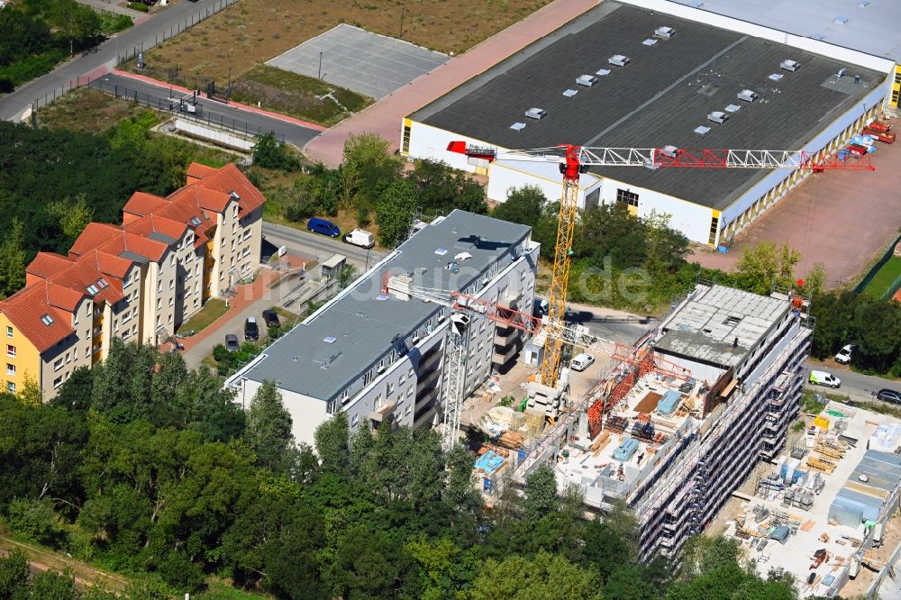 Bernau von oben - Neubau- Wohngebiet einer Reihenhaus- Siedlung Am Mahlbusen in Bernau im Bundesland Brandenburg, Deutschland