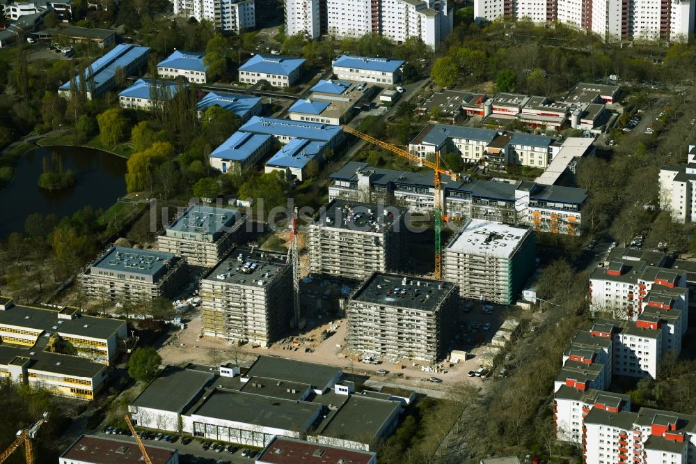 Berlin aus der Vogelperspektive: Neubau eines Wohngebiet- Stadtquartiers Theodor Quartier am Senftenberger Ring in Berlin, Deutschland