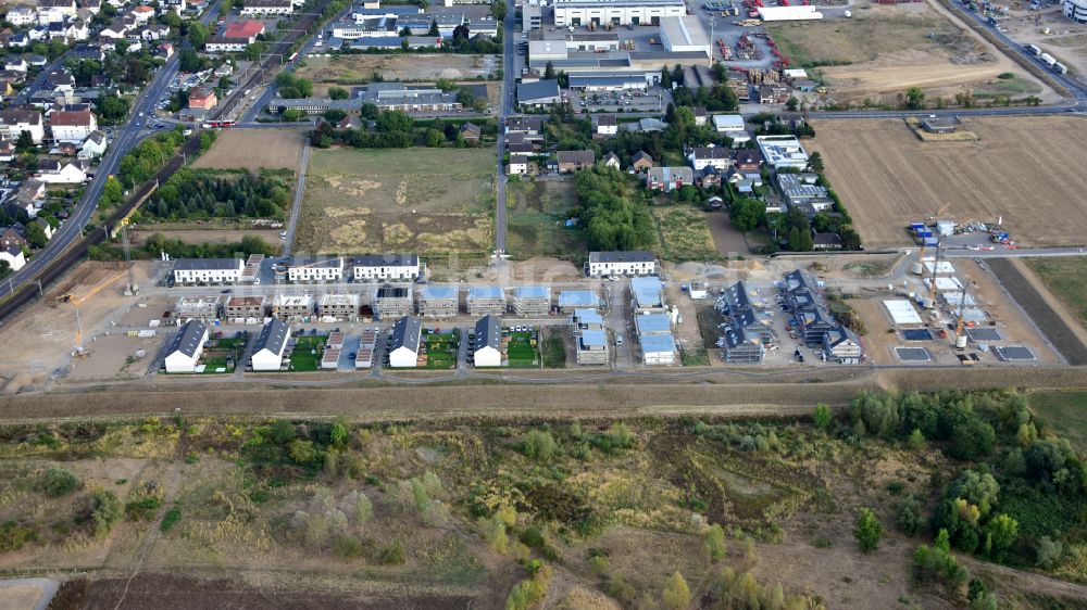 Luftaufnahme Hersel - Neubaugebiet für Einfamilienhäuser in Bornheim-Hersel im Bundesland Nordrhein-Westfalen, Deutschland