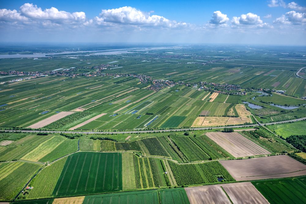 Luftbild Neuenkirchen - Neuenkirchen im Bundesland Niedersachsen, Deutschland