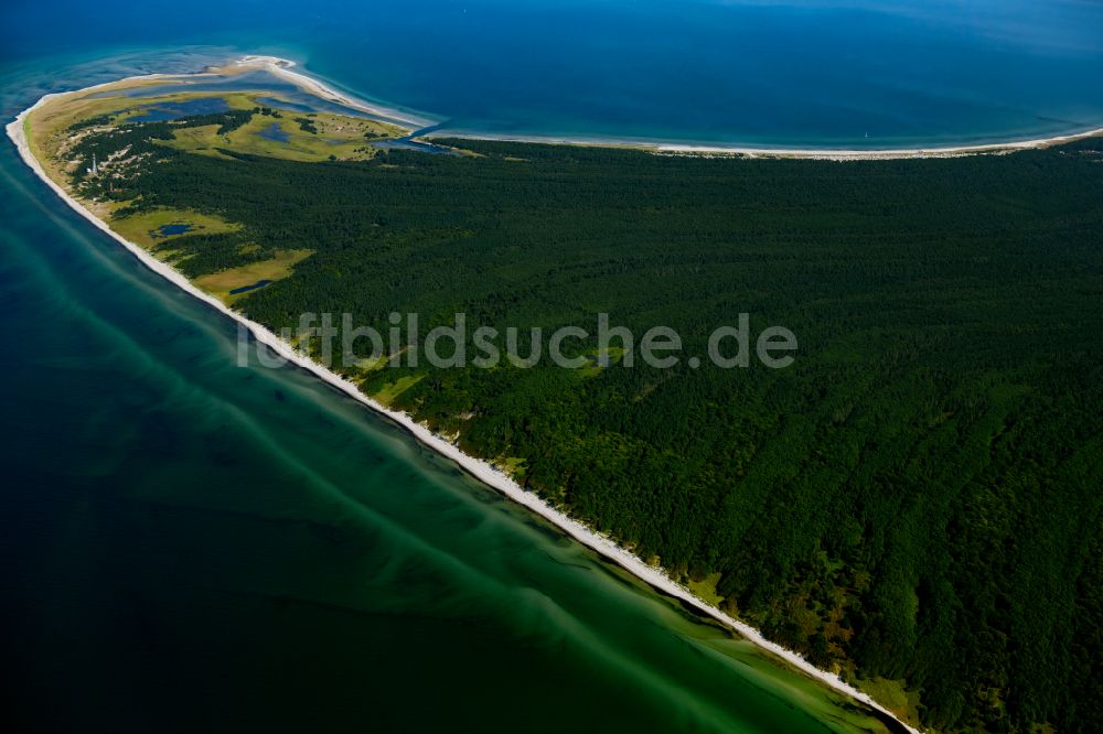 Luftaufnahme Born am Darß - Nordspitze Darßer Ort bei Born auf der Halbinsel Zingst im Bundesland Mecklenburg-Vorpommern