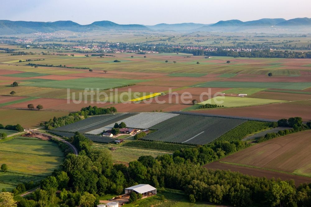 Luftbild Winden - Obstanbau- Plantage des Obst- und Spagelhof Gensheimer in Winden im Bundesland Rheinland-Pfalz, Deutschland