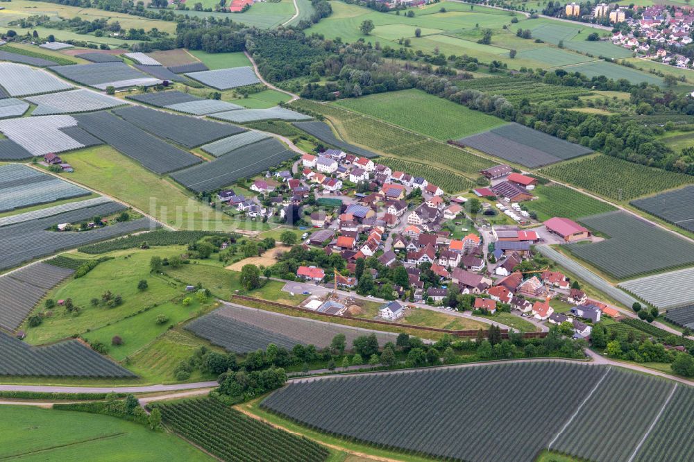 Luftaufnahme Riedheim - Obstanbau- Plantagen in der Umgebung von Riedheim im Bundesland Baden-Württemberg, Deutschland