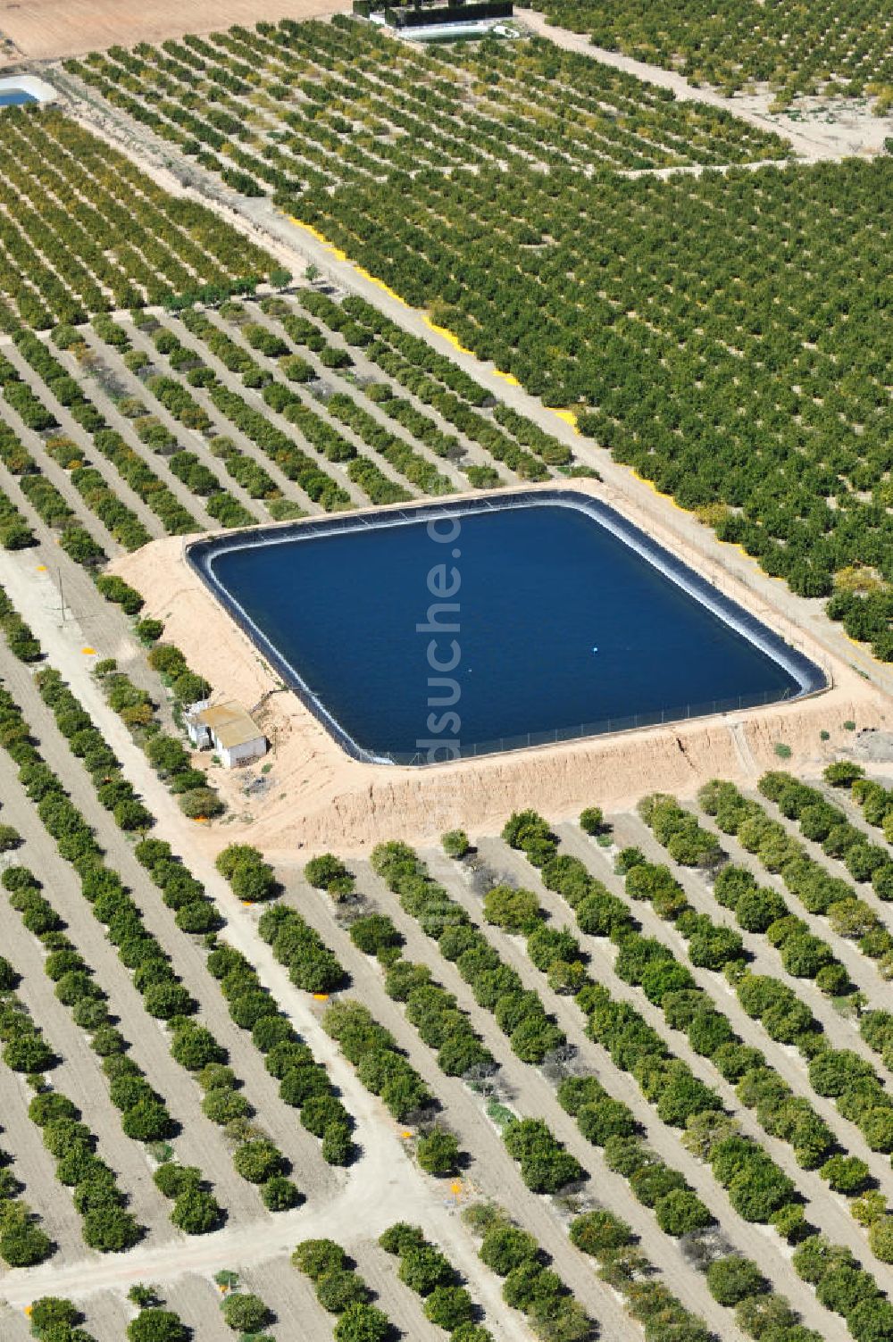 Los Martinez aus der Vogelperspektive: Orangen- und Zitronenplantage mit Rückhaltebecken bei Los Martinz in Spanien