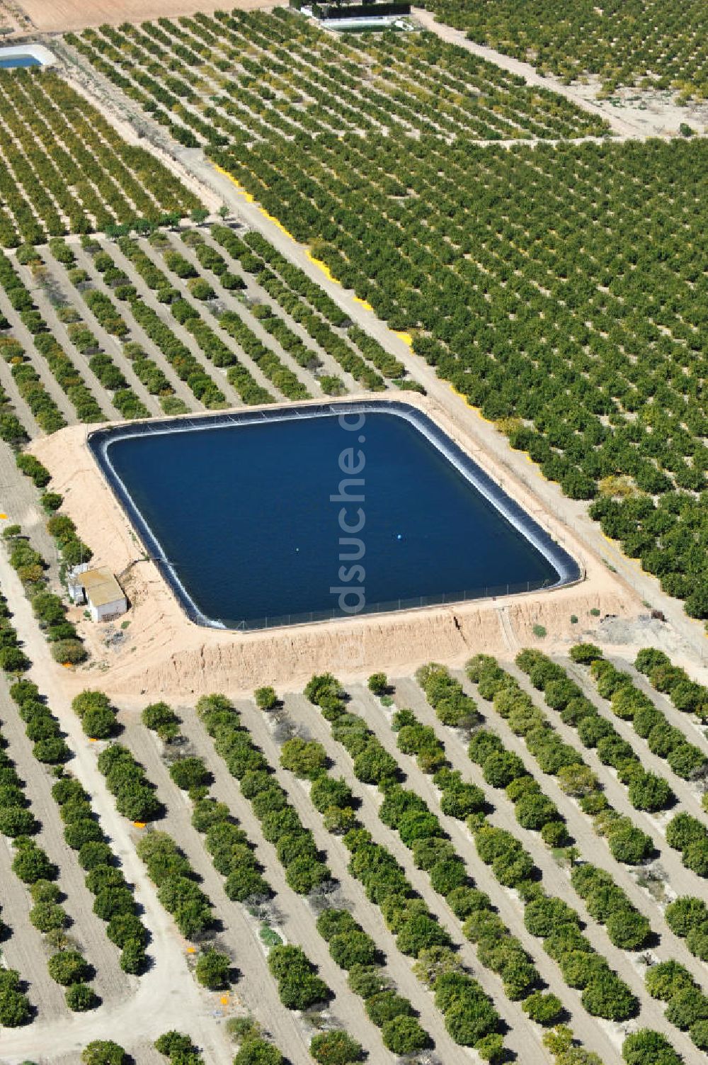 Luftbild Los Martinez - Orangen- und Zitronenplantage mit Rückhaltebecken bei Los Martinz in Spanien