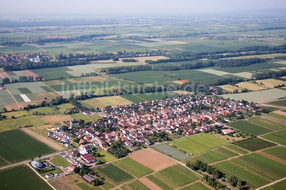 Luftaufnahme Altdorf - Ortsansicht in Altdorf im Bundesland Rheinland-Pfalz