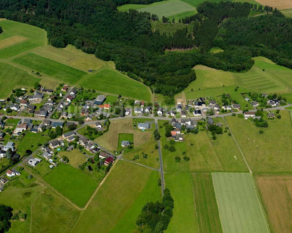 Luftaufnahme Altenburg - Ortsansicht in Altenburg im Bundesland Rheinland-Pfalz, Deutschland