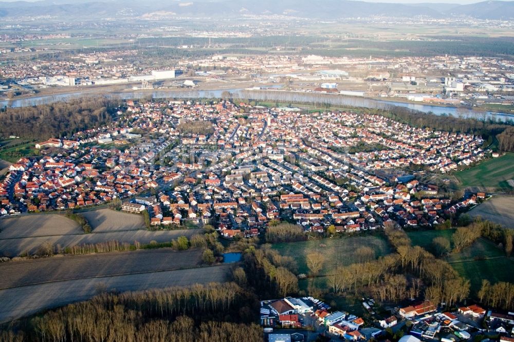 Luftbild Altrip - Ortsansicht in Altrip im Bundesland Rheinland-Pfalz