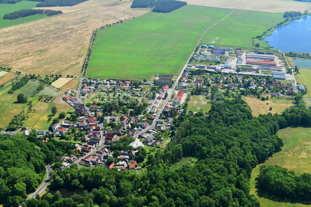 Badrina von oben - Ortsansicht in Badrina im Bundesland Sachsen, Deutschland