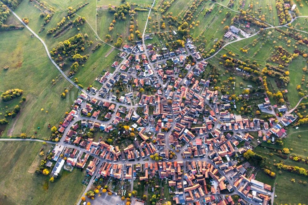 Luftbild Büchelberg - Ortsansicht in Büchelberg im Bundesland Rheinland-Pfalz, Deutschland
