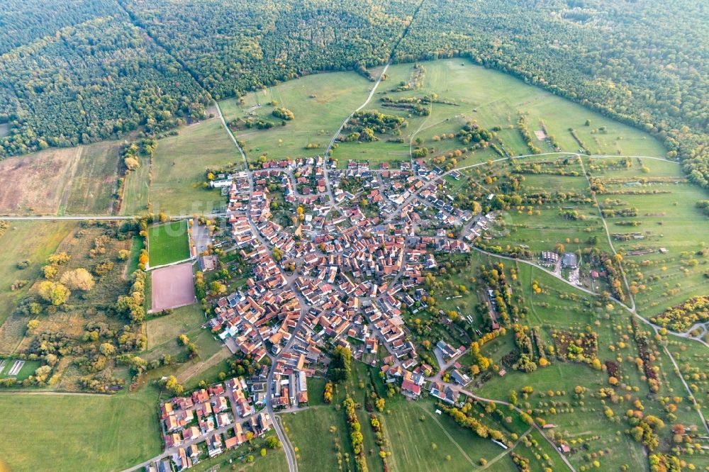 Luftaufnahme Büchelberg - Ortsansicht in Büchelberg im Bundesland Rheinland-Pfalz, Deutschland