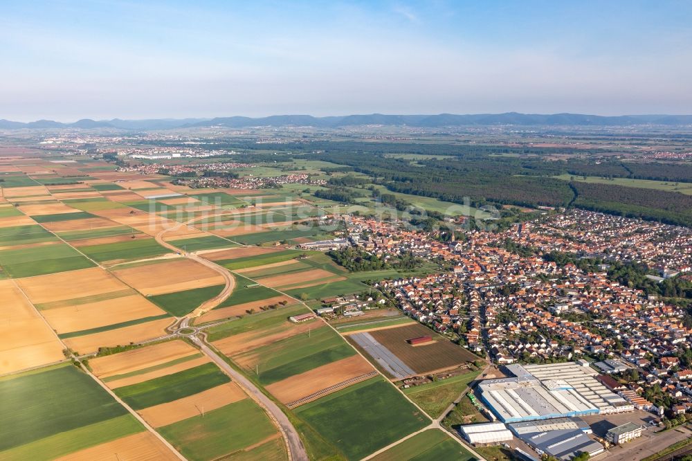 Luftaufnahme Bellheim - Ortsansicht in Bellheim im Bundesland Rheinland-Pfalz