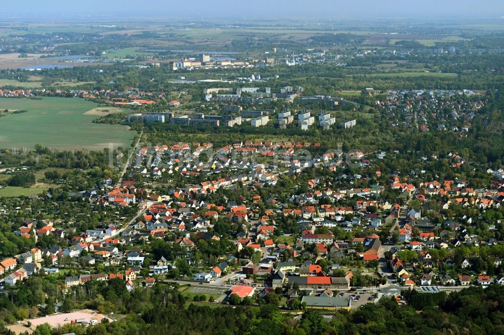 Dölau von oben - Ortsansicht in Dölau im Bundesland Sachsen-Anhalt, Deutschland