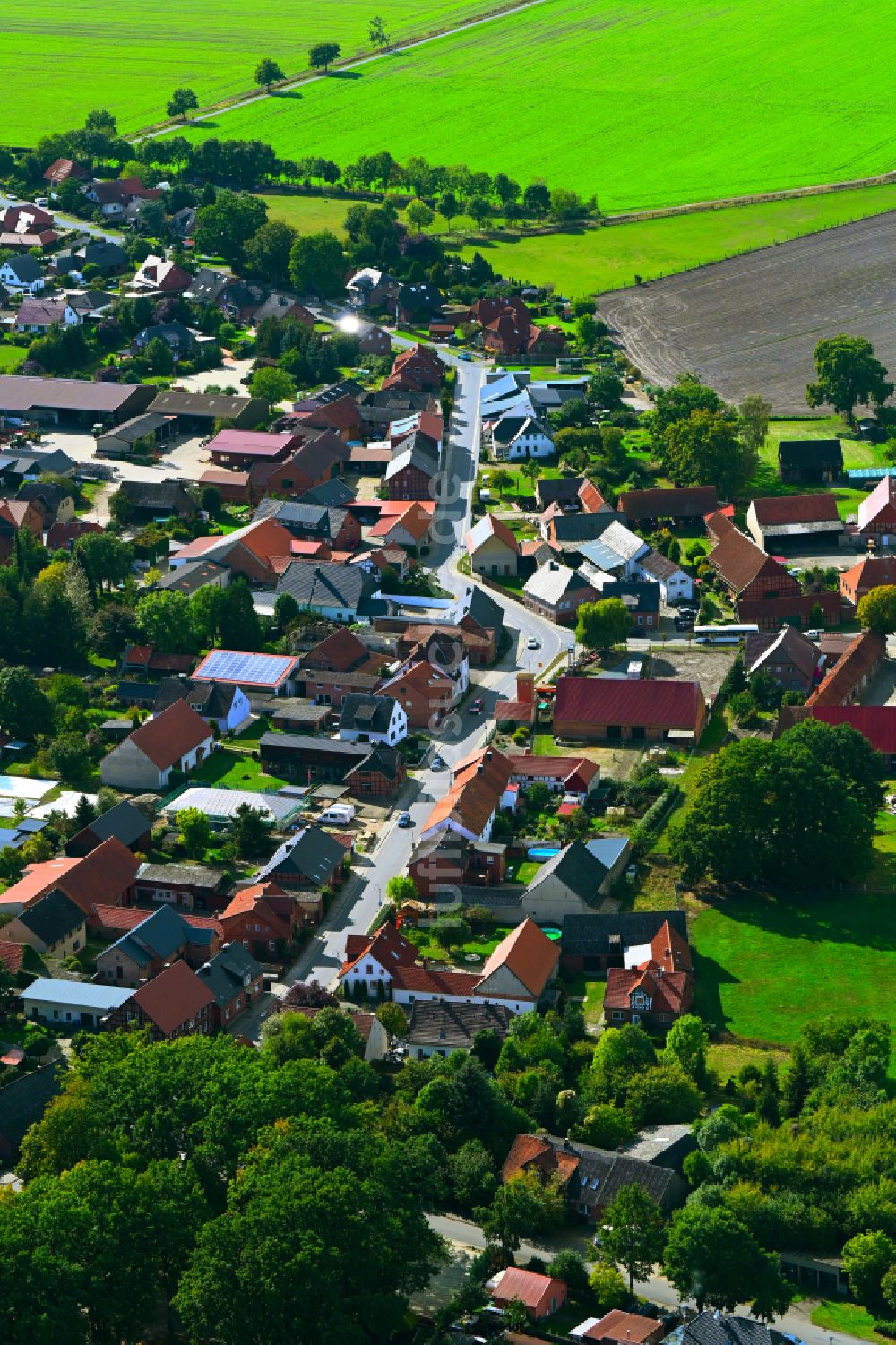 Luftaufnahme Bergfeld - Ortsansicht entlang der Straße Ratje in Bergfeld im Bundesland Niedersachsen, Deutschland