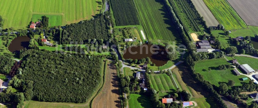 Luftaufnahme Hörne - Ortsansicht mit Gehöften und Landwirtschaftsbetrieben in Hörne im Bundesland Niedersachsen