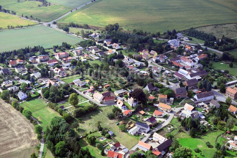 Goldschau von oben - Ortsansicht in Goldschau im Bundesland Sachsen-Anhalt, Deutschland