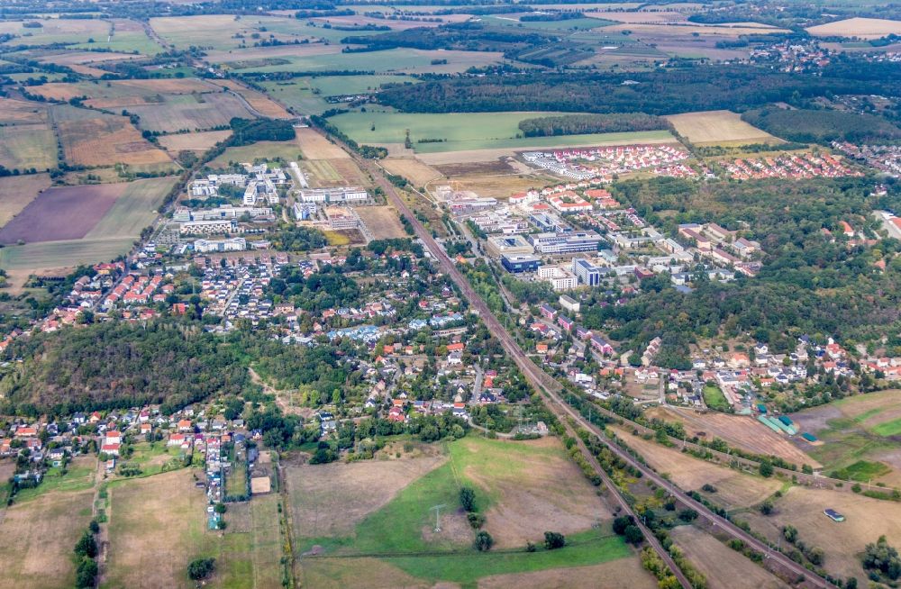 Luftaufnahme Potsdam - Ortsansicht in Golm im Bundesland Brandenburg, Deutschland
