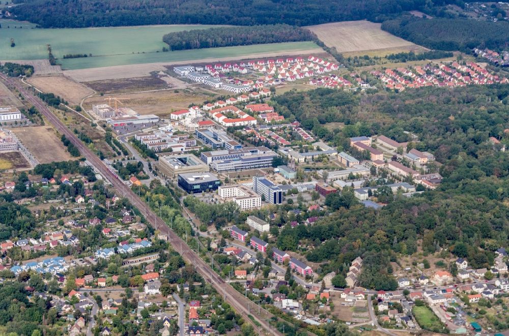 Potsdam von oben - Ortsansicht in Golm im Bundesland Brandenburg, Deutschland