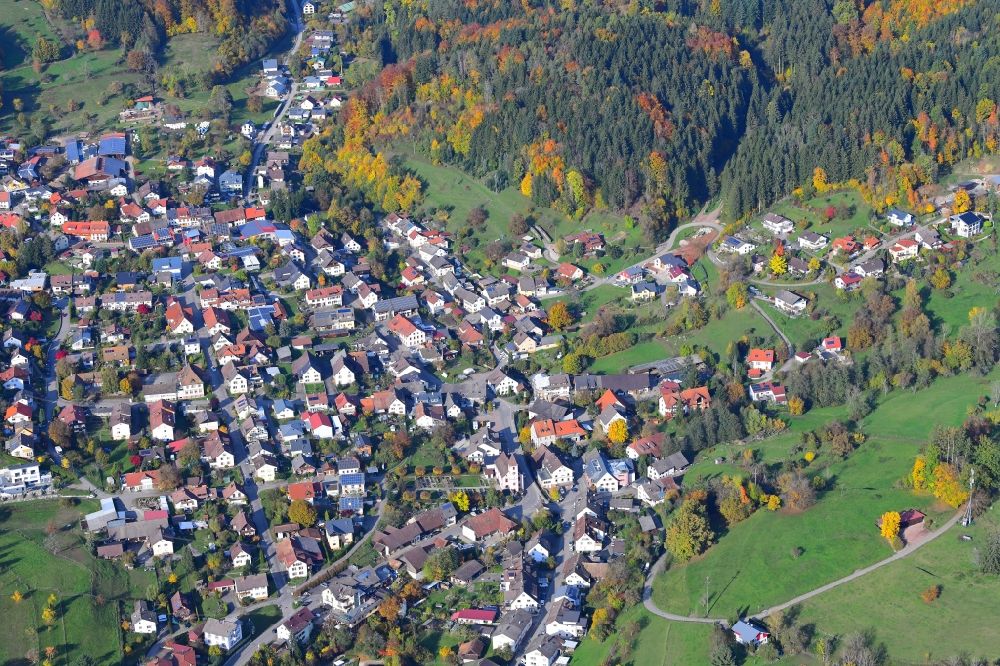 Luftaufnahme Hasel - Ortsansicht in Hasel im Bundesland Baden-Württemberg, Deutschland