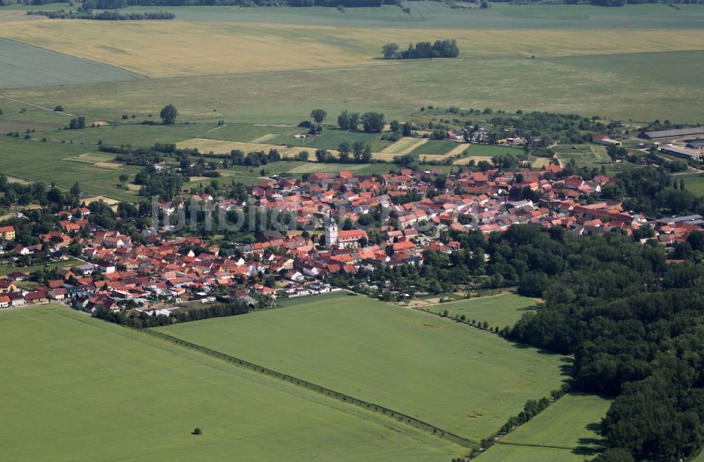 Haßleben von oben - Ortsansicht in Haßleben im Bundesland Thüringen, Deutschland