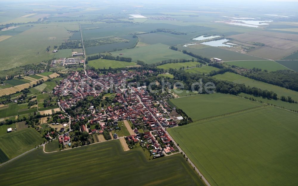 Luftbild Haßleben - Ortsansicht in Haßleben im Bundesland Thüringen, Deutschland