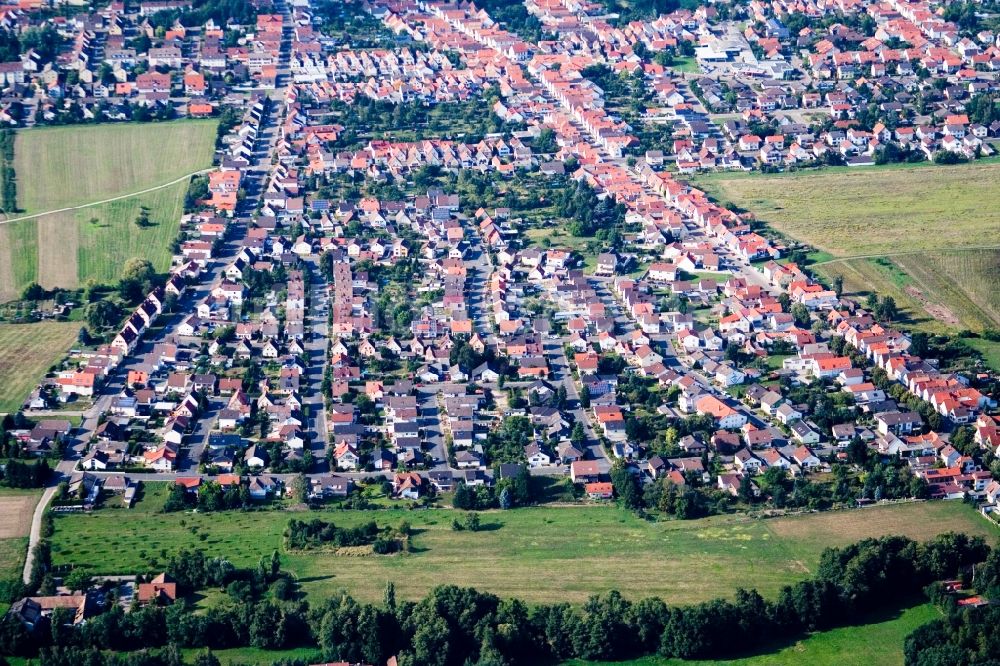 Luftbild Haßloch - Ortsansicht in Haßloch im Bundesland Rheinland-Pfalz