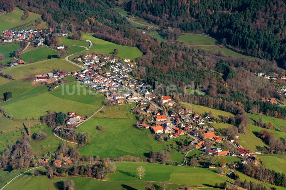 Luftaufnahme Horben - Ortsansicht in Horben im Bundesland Baden-Württemberg, Deutschland