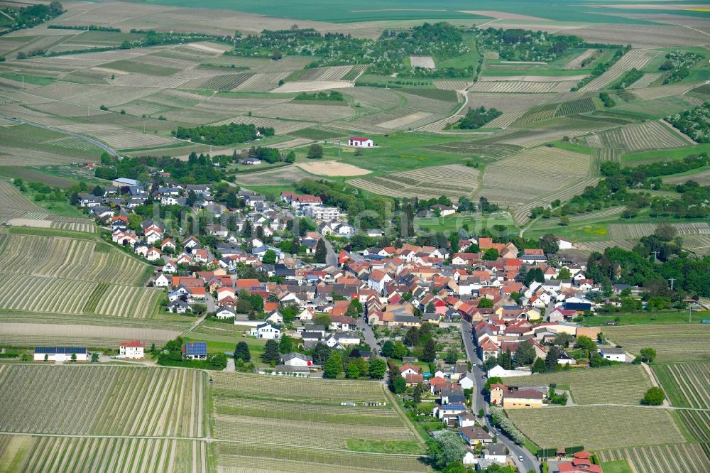 Horrweiler von oben - Ortsansicht in Horrweiler im Bundesland Rheinland-Pfalz, Deutschland