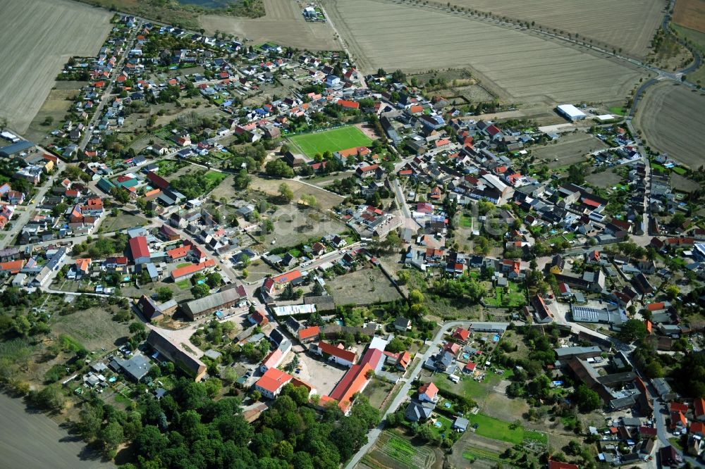 Luftaufnahme Löberitz - Ortsansicht in Löberitz im Bundesland Sachsen-Anhalt, Deutschland