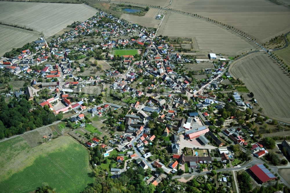 Löberitz von oben - Ortsansicht in Löberitz im Bundesland Sachsen-Anhalt, Deutschland