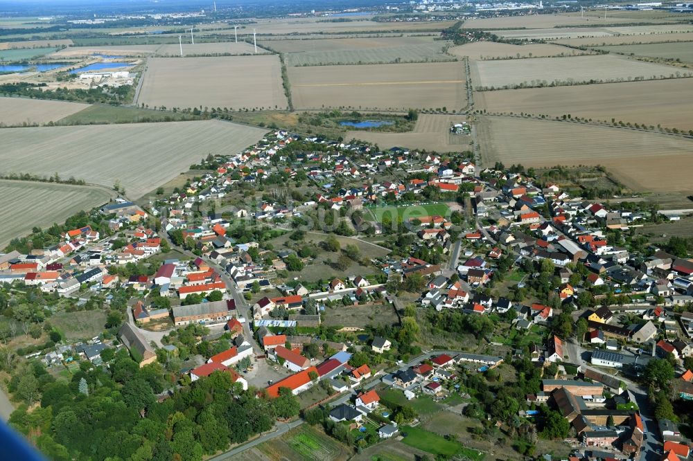 Luftbild Löberitz - Ortsansicht in Löberitz im Bundesland Sachsen-Anhalt, Deutschland