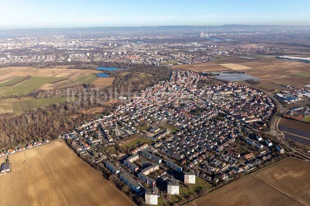 Luftbild Ludwigshafen am Rhein - Ortsansicht von Maudach in Ludwigshafen am Rhein im Bundesland Rheinland-Pfalz, Deutschland