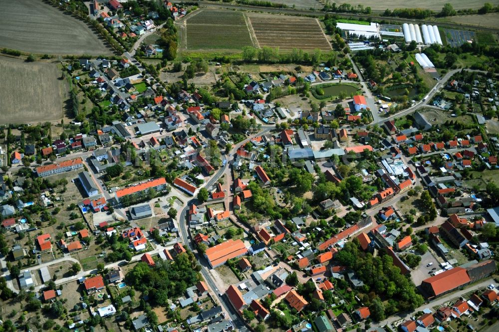 Luftaufnahme Niemberg - Ortsansicht in Niemberg im Bundesland Sachsen-Anhalt, Deutschland