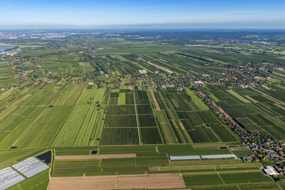 Luftaufnahme Jork - Ortsansicht im Obstanbaugebiet Altes Land Jork-Estebrügge im Bundesland Niedersachsen, Deutschland