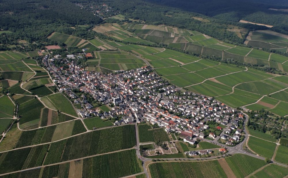 Luftbild Oestrich-Winkel - Ortsansicht von Oestrich-Winkel im Bundesland Hessen