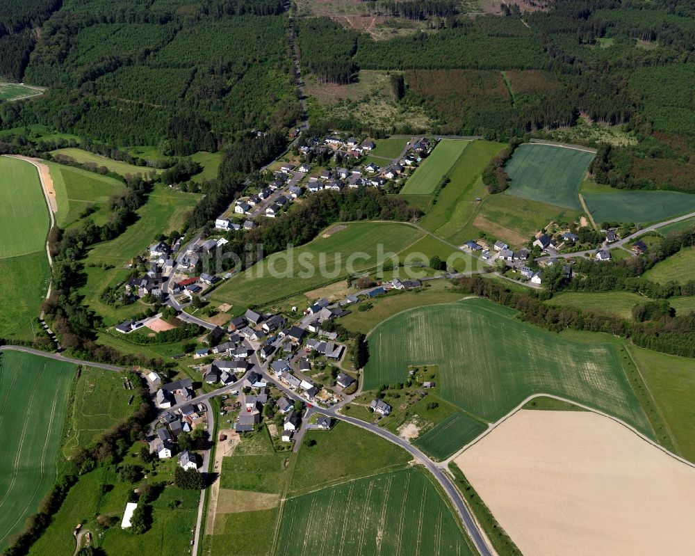 Dillendorf von oben - Ortsansicht der Ortsgemeinde Dillendorf im Bundesland Rheinland-Pfalz