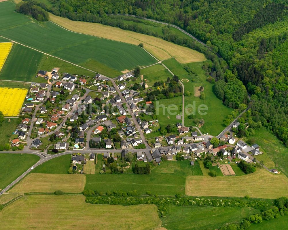 Luftbild Ellenhausen - Ortsansicht der Ortsgemeinde Ellenhausen im Bundesland Rheinland-Pfalz