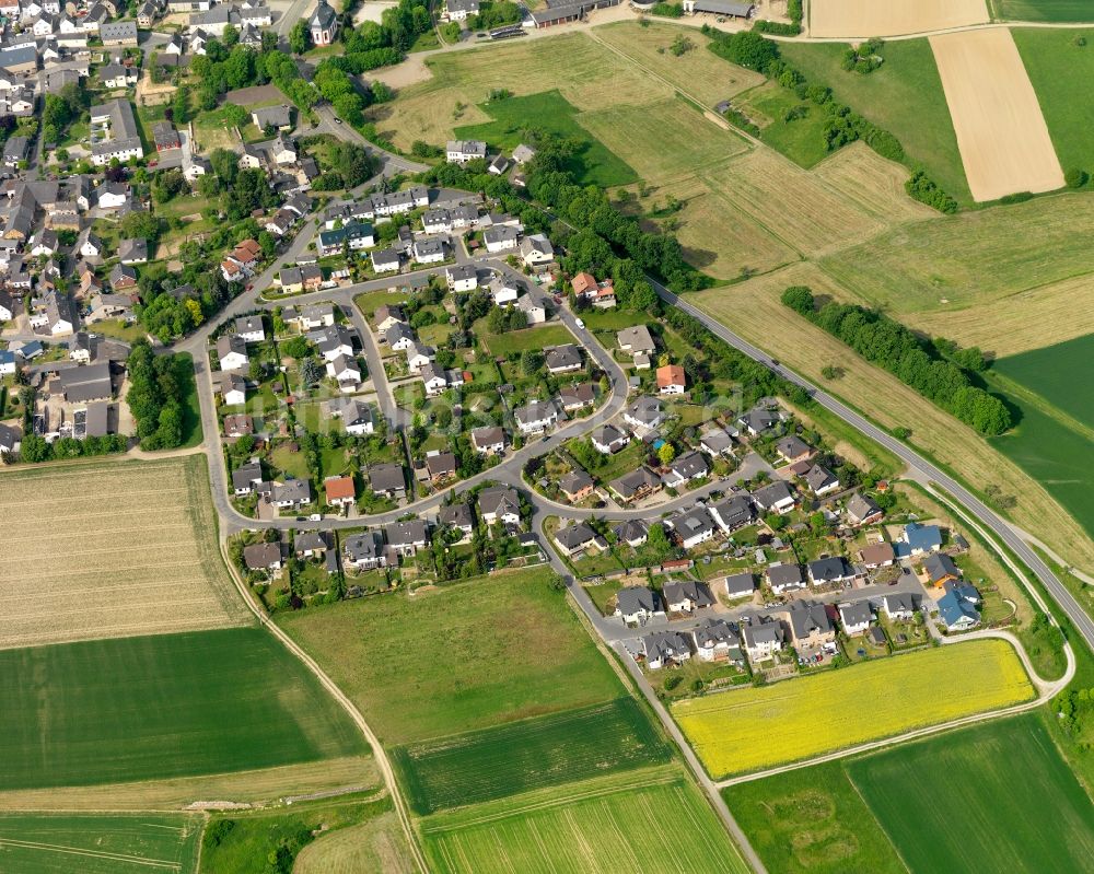 Luftaufnahme Holzhausen an der Haide - Ortsansicht der Ortsgemeinde Holzhausen an der Haide im Bundesland Rheinland-Pfalz