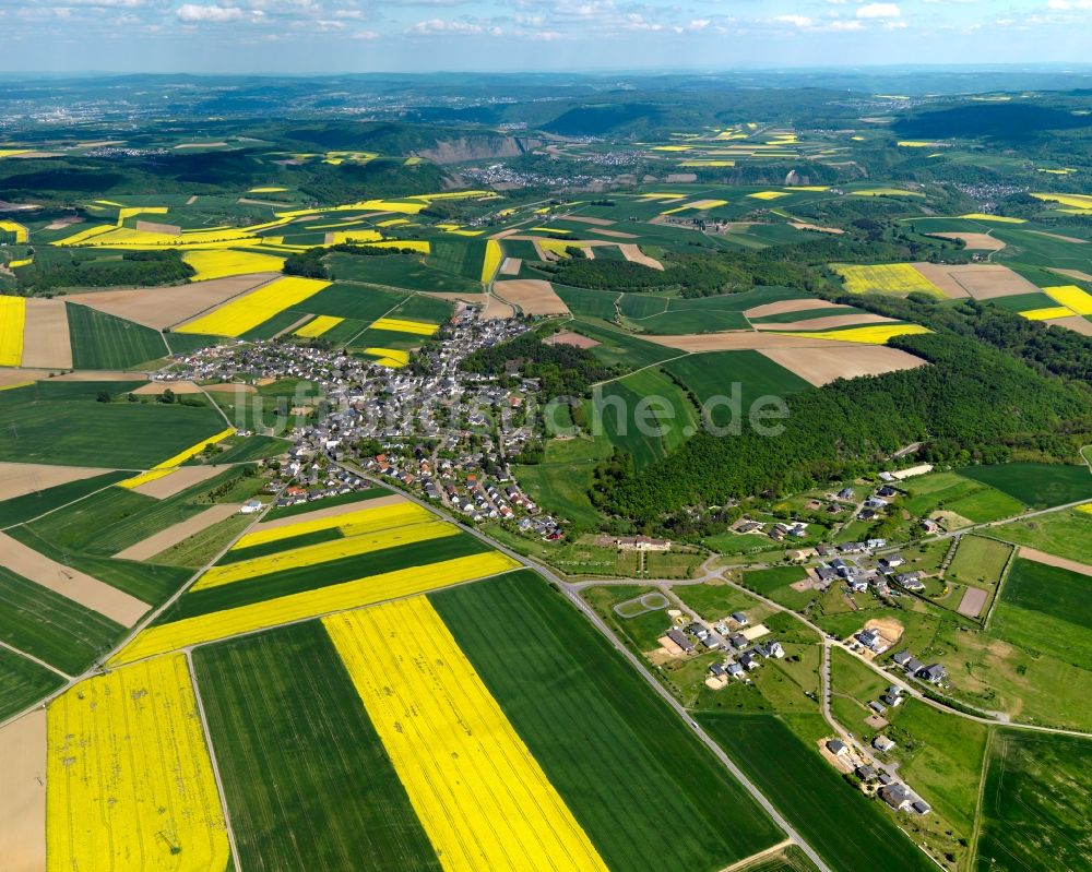 Lonnig von oben - Ortsansicht der Ortsgemeinde Lonnig im Bundesland Rheinland-Pfalz
