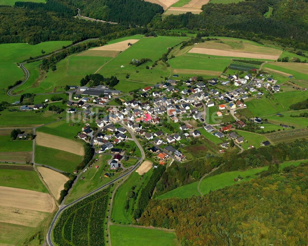 Luftbild Münk - Ortsansicht der Ortsgemeinde Münk im Bundesland Rheinland-Pfalz