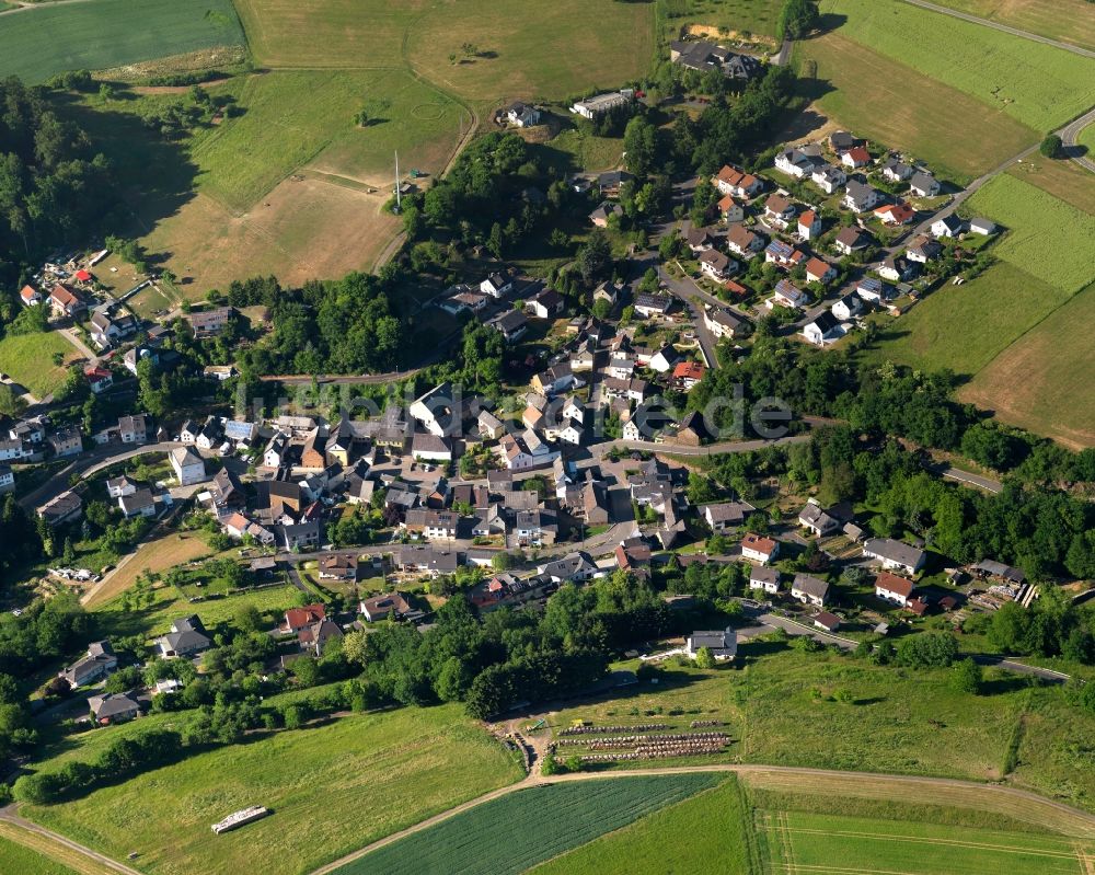Luftaufnahme Wasenbach - Ortsansicht der Ortsgemeinde Wasenbach im Bundesland Rheinland-Pfalz