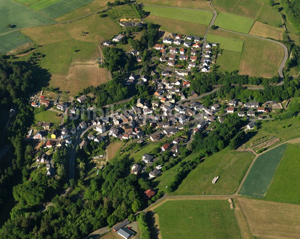Wasenbach von oben - Ortsansicht der Ortsgemeinde Wasenbach im Bundesland Rheinland-Pfalz