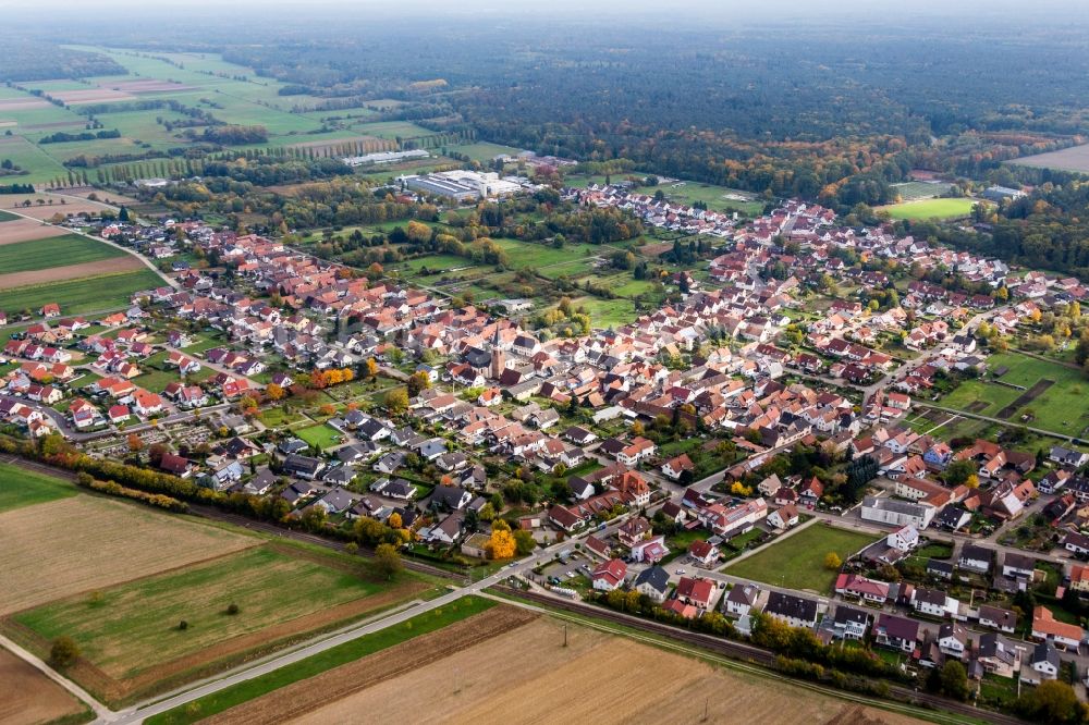 Luftaufnahme Wörth am Rhein - Ortsansicht im Ortsteil Schaidt in Wörth am Rhein im Bundesland Rheinland-Pfalz, Deutschland