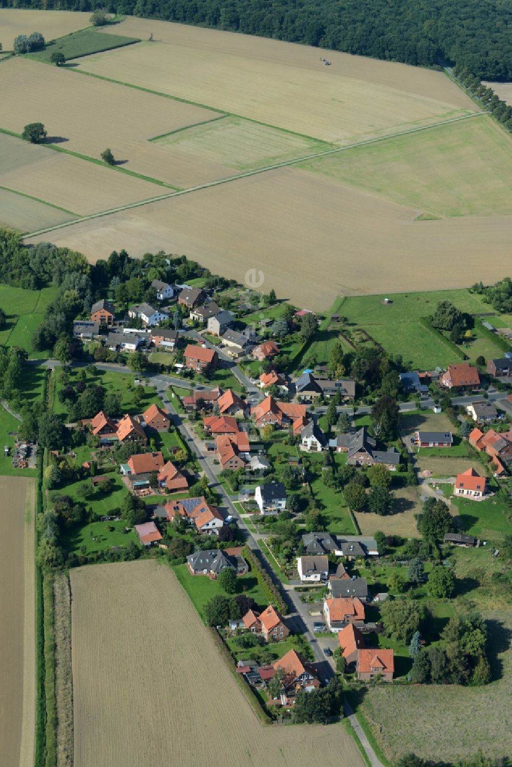Lindhorst aus der Vogelperspektive: Ortsansicht von Ottensen im Bundesland Niedersachsen