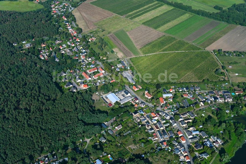 Luftbild Phöben - Ortsansicht in Phöben im Bundesland Brandenburg, Deutschland