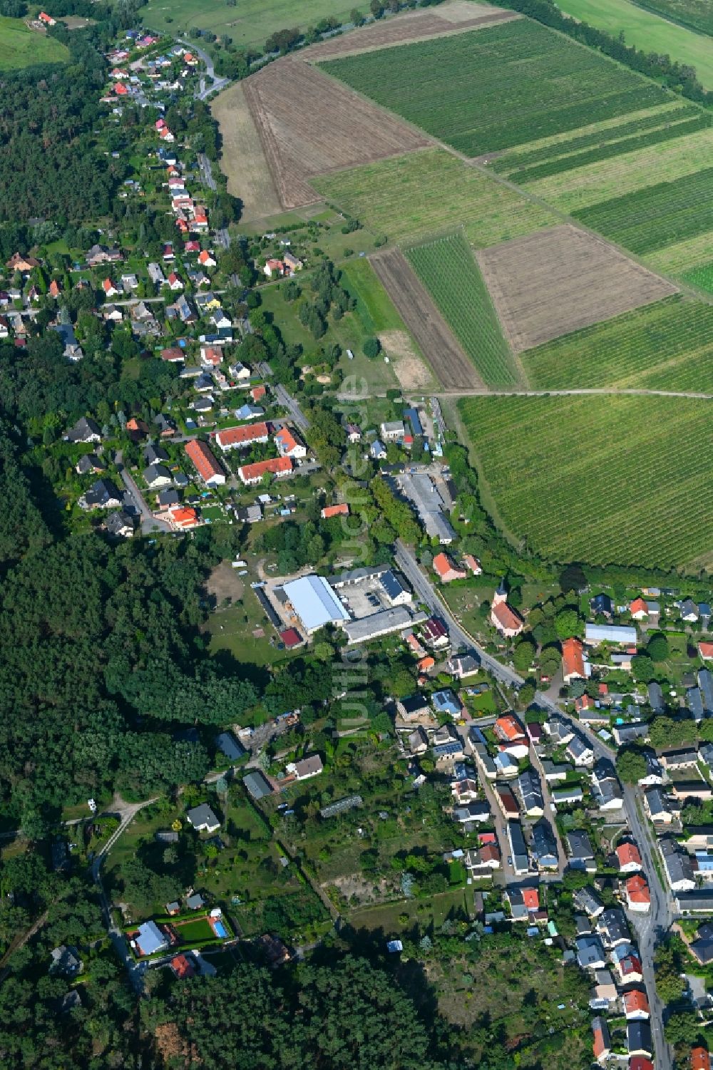 Luftaufnahme Phöben - Ortsansicht in Phöben im Bundesland Brandenburg, Deutschland