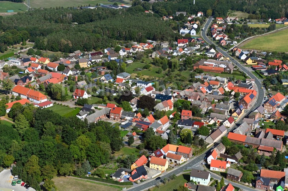 Radis von oben - Ortsansicht in Radis im Bundesland Sachsen-Anhalt, Deutschland