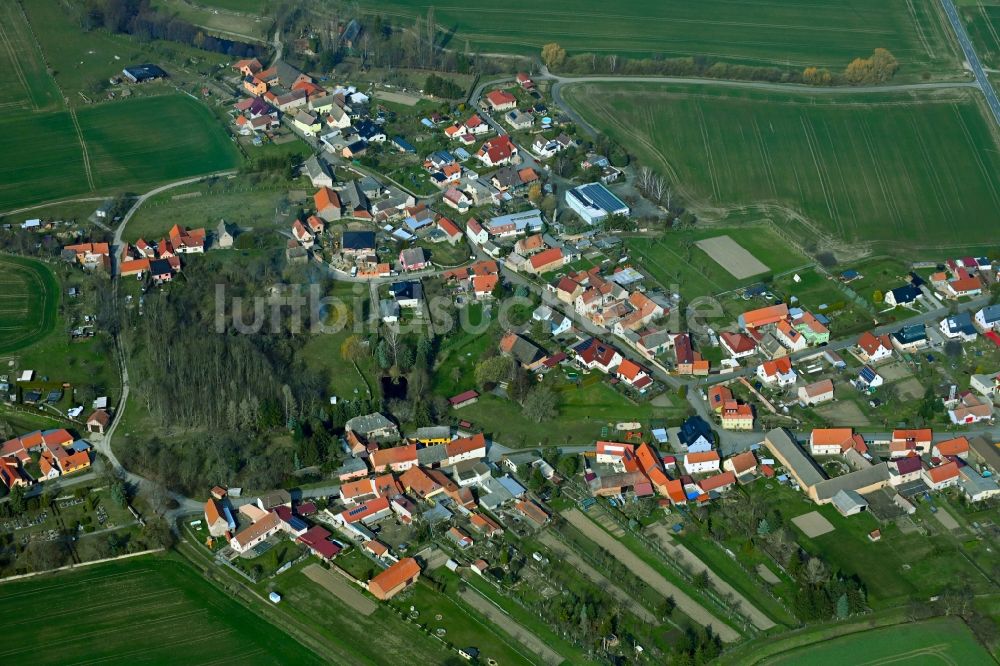 Luftaufnahme Allerstedt - Ortsansicht am Rande von landwirtschaftlichen Feldern in Allerstedt im Bundesland Sachsen-Anhalt, Deutschland