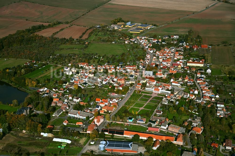 Bendeleben von oben - Ortsansicht am Rande von landwirtschaftlichen Feldern in Bendeleben im Bundesland Thüringen, Deutschland