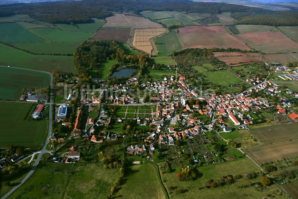 Luftbild Bendeleben - Ortsansicht am Rande von landwirtschaftlichen Feldern in Bendeleben im Bundesland Thüringen, Deutschland